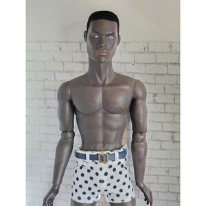 Integrity Toy Fashion Royalty East 59th HONOLULU SUNSET AUGUSTUS GUS BLAKE Doll